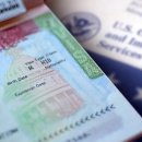 H-1B 승인으로 끝이 아닙니다…비자 스탬핑과 현장실사까지 대비해야 합니다. 이미지