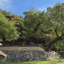 안마을 정자 앞 이미지