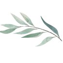 추오정 남원추어탕 광교점 이미지