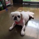 예뻐지개 이미지