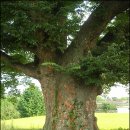 불태산농장 이미지