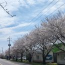 공릉천로 이미지