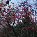 대화APT경로당 이미지