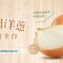 양파상회 이미지