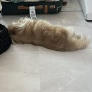쉼멍스테이 이미지