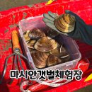 마시안갯벌체험장 | 서울 근교 마시안갯벌체험 조개잡이 유료체험장 솔직 후기