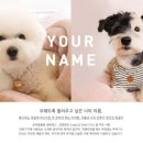 아이메이킷
