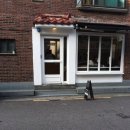 카페톤(KAFE TONE) 이미지