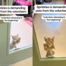 (주)펫스테이트 이미지