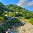 영동물소리민박 이미지