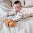 연베이지 이미지