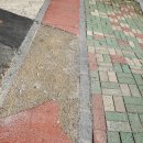 자전거 도로 이미지