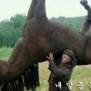 오랜지
