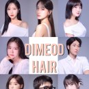 디.디헤어 네이버블로그