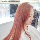 핑크미용실 - 익산시 | 핑크미용실