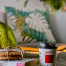 상일카인테리어 | 울릉도 숙소 추천 힐링스테이 코스모스 10곳