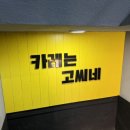 고씨네카레강원대본점 이미지