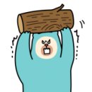 바디복싱 다이어트 스파르타 짐 이미지