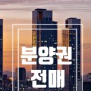 숲안타워공인중개사사무소 이미지