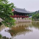 강남게이트볼장 | 분당 중앙공원