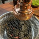 은행나무갈매기 이미지