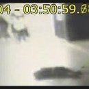 유치원 발레 이미지