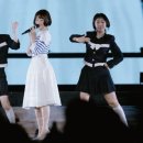 푸른산호초 이미지