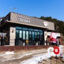 자작나무 스테이 이미지