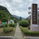 영랑작은도서관 | 정선레일바이크 예약 가격 소요시간 정선가볼만한곳 추천