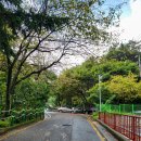 대원사 | 부산 구봉산 등산코스 추천 후기 대원사 전도등 대신공원