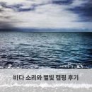 별빛바다 | 바다 소리와 별빛 캠핑 후기
