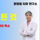 수은중독의 치료법 Mercury Toxicity and Treatment: A Review of the Literature 이미지