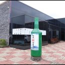 세계술박물관 이미지