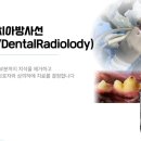 미소동물치과병원 이미지