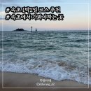 청호반점 | 1박 2일 속초 여행 추천 코스, 뚜벅이 여행도 가능한 속초에서 가볼만한 곳