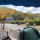 다인자동차 | 인천대공원 자전거대여 다인용자전거대여 후기