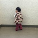 GS편의점 미아신일점 | 17개월 아기랑 가기 좋은 아쿠아플라넷 일산 • 주말 방문 솔직 후기