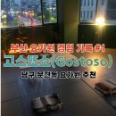 부산 요가원 경험 기록 #1 남구 문현동 요가원 '고스또소' 인요가, 댄스핏 원데이 클래스 후기