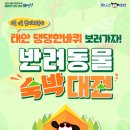 꽃지숙박 이미지