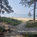 완도해송팬션 이미지