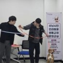 제주특별자치도 동물위생시험소 (동물보호센터) 동물병원 | 2026년 3월 19일 반려동물 뉴스 스크랩