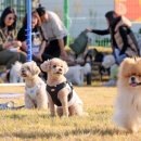 국민여가캠핑장 캠핑장 이미지