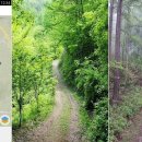 태백고원 700 산소길 이미지