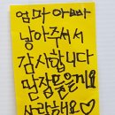 용인대 성원 태권도 이미지