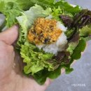 누가한의원 | 남자 고도비만 다이어트 한약 후기 (산본 다이어트 한의원, 가격, 식단)