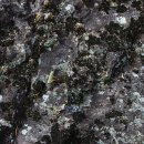 경북기름 이미지