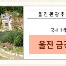 친환경엑스포로1 이미지