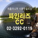 세이브투어 네이버블로그