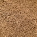 스파레이 이미지