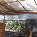 자담솔농원 이미지